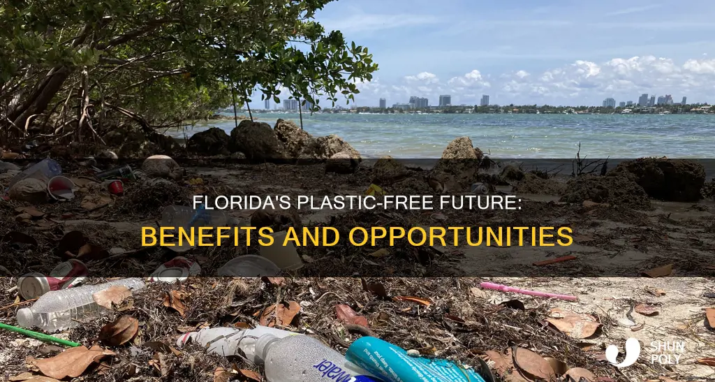 how banning plastic would benefit florida
