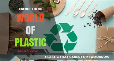Sustainable Solutions: A World Without Plastic