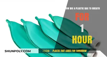 Breathing in a Bag: Sizing a Plastic Bag for One Hour of Air