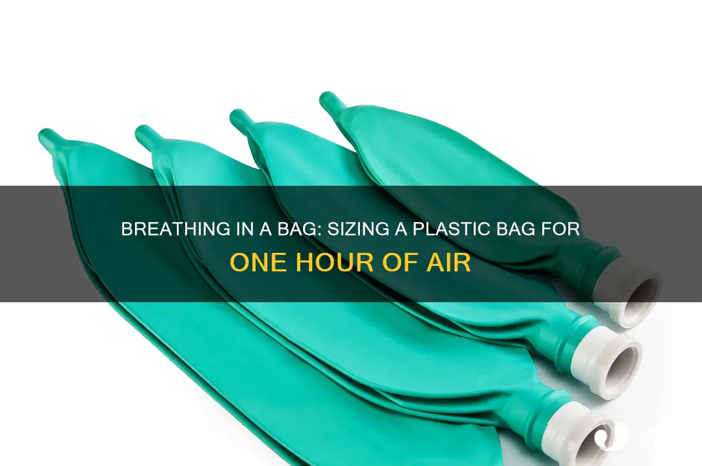 how big a plastic bag to breath for 1 hour