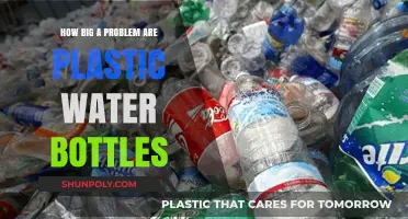 Plastic Water Bottles: A Growing Environmental Crisis and Solutions