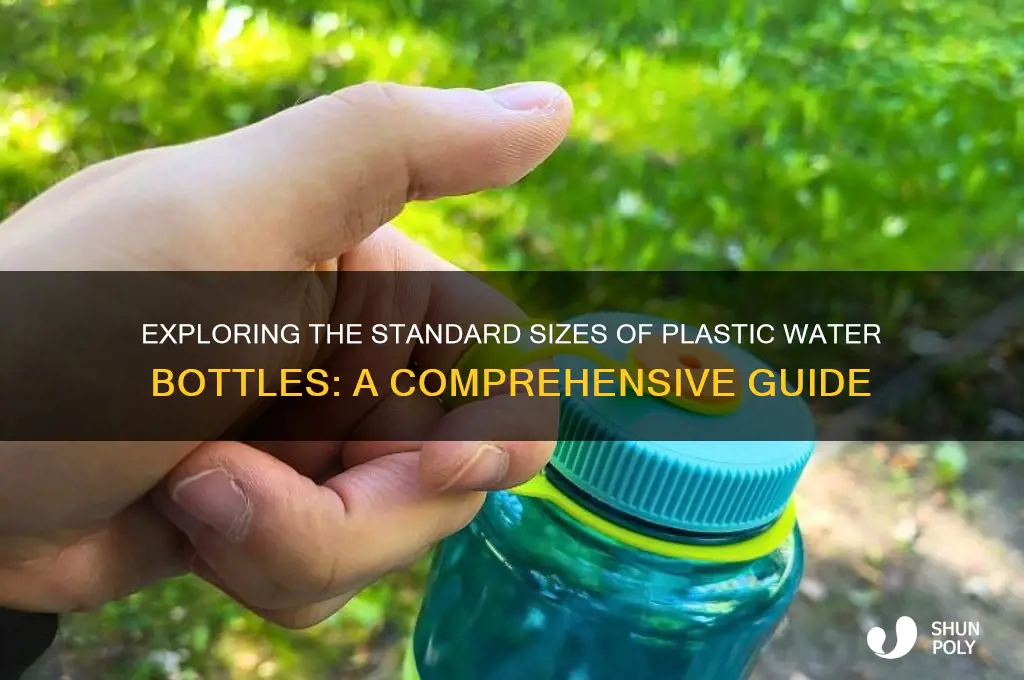 how big are plastic water bottles