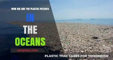 Unveiling the Alarming Size of Plastic Patches in Our Oceans