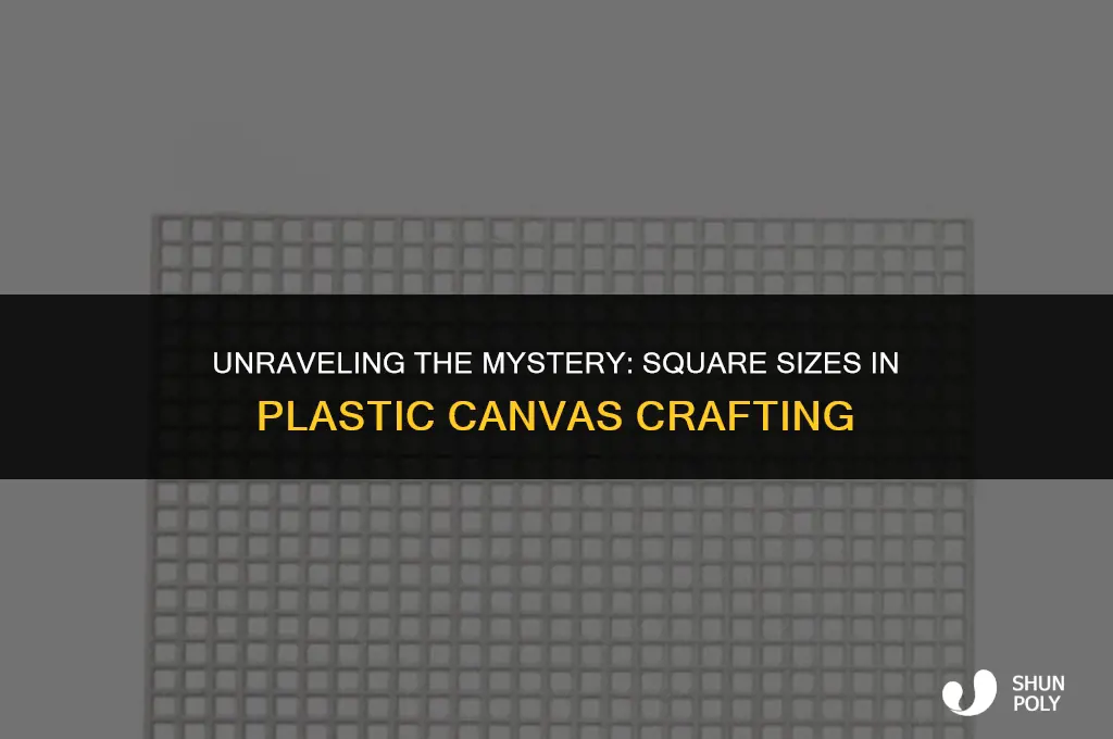 how big are the squares in plastic canvas