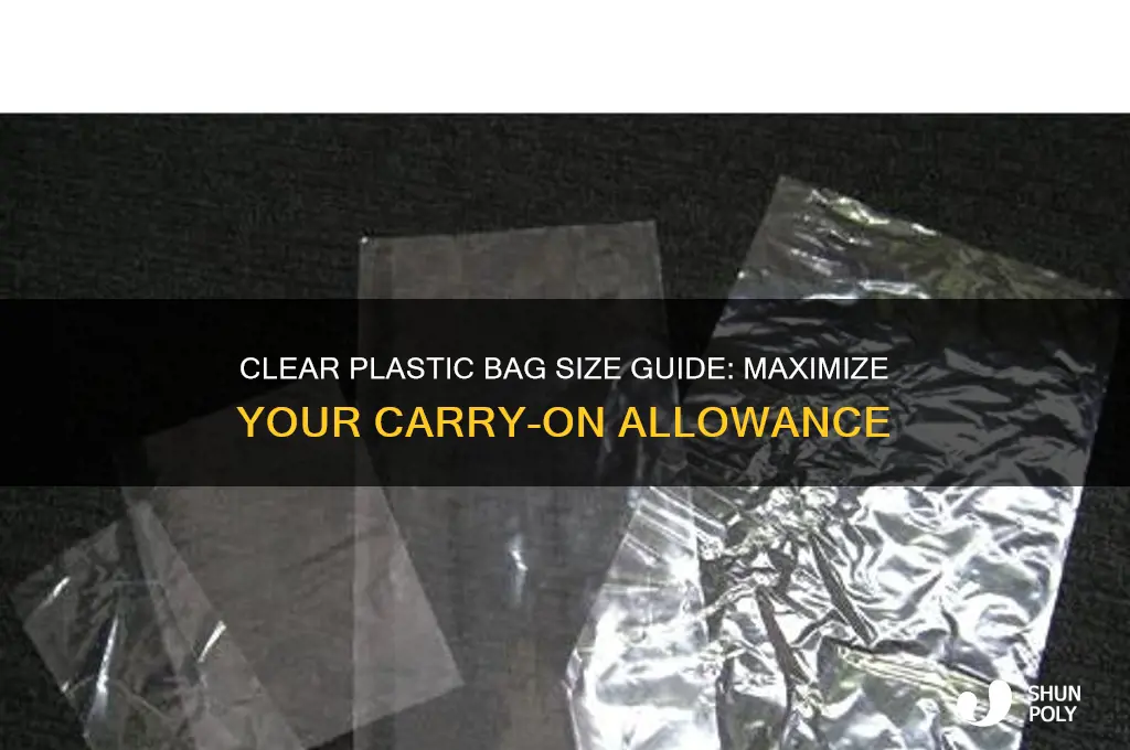 how big can my clear plastic bag be