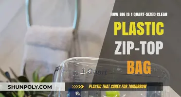 Understanding the Size of a Quart-Sized Clear Plastic Zip-Top Bag
