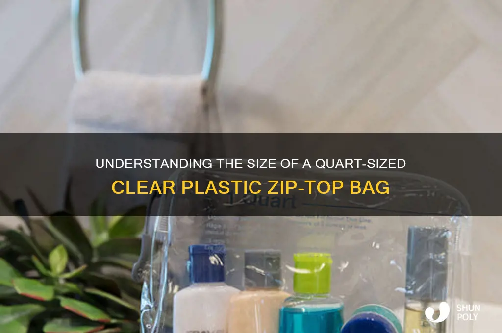 how big is 1 quart-sized clear plastic zip-top bag