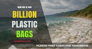 Visualizing the Scale of 500 Billion Plastic Bags: A Global Crisis