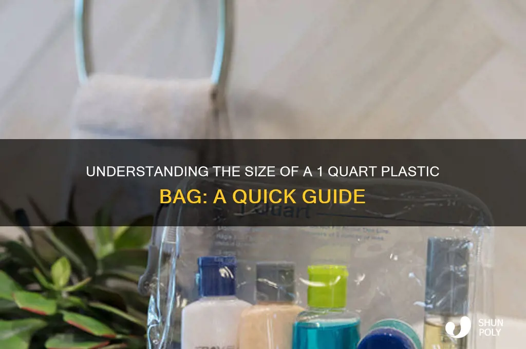 how big is a 1 qt plastic bag
