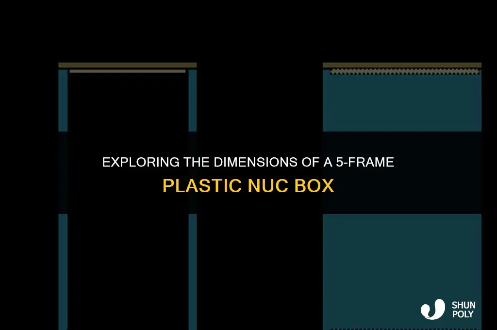 how big is a 5 frame plastic nuc box
