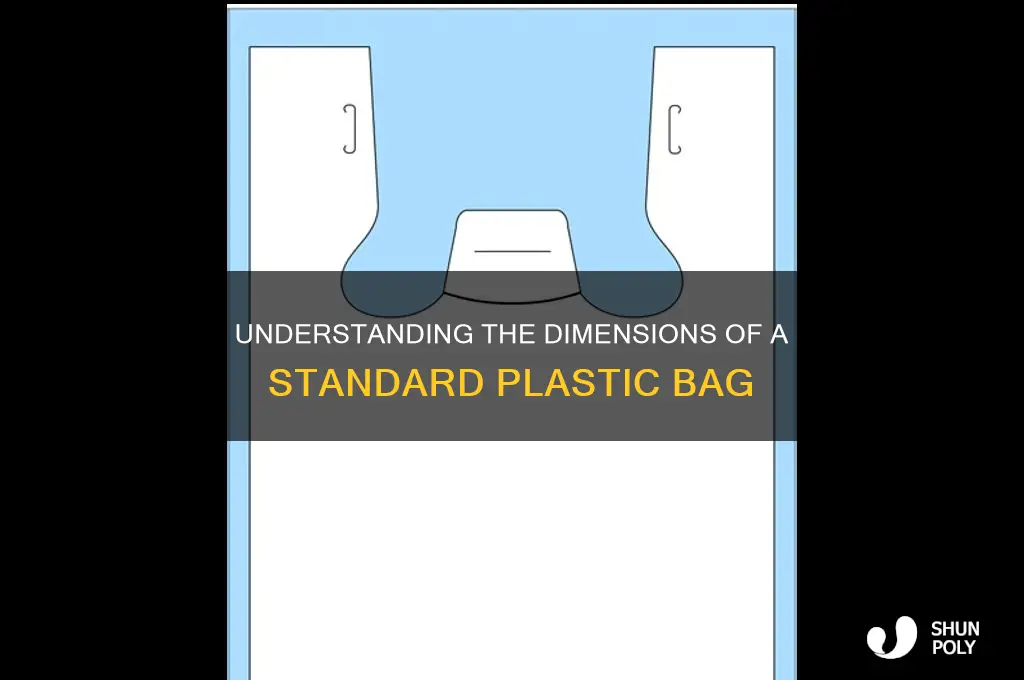 how big is a plastic bag