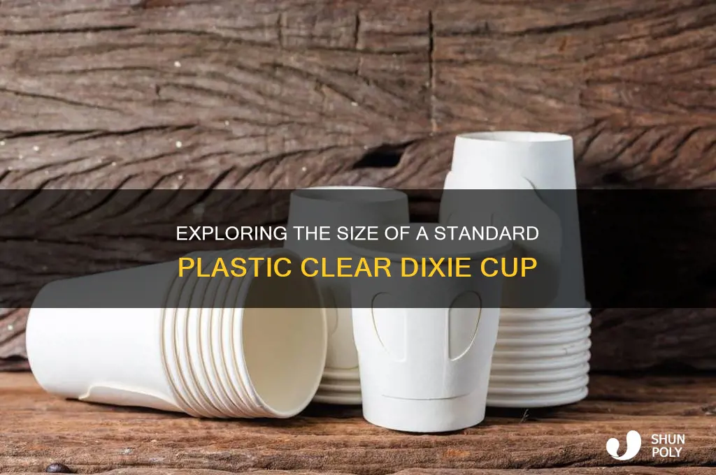 how big is a plastic clear dixie cup
