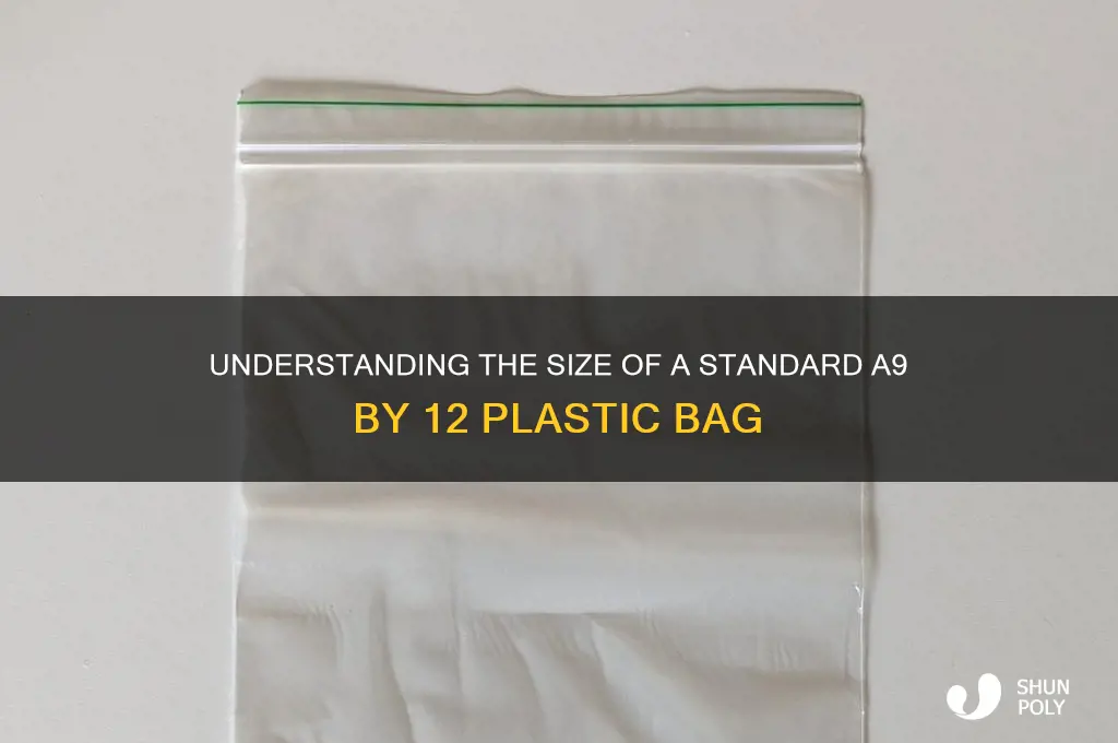 how big is a9 by 12 plastic bag