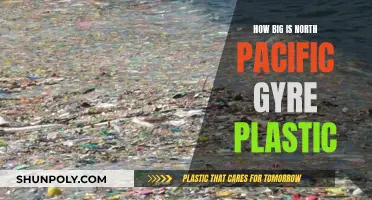 The North Pacific Gyre: A Plastic Ocean Crisis