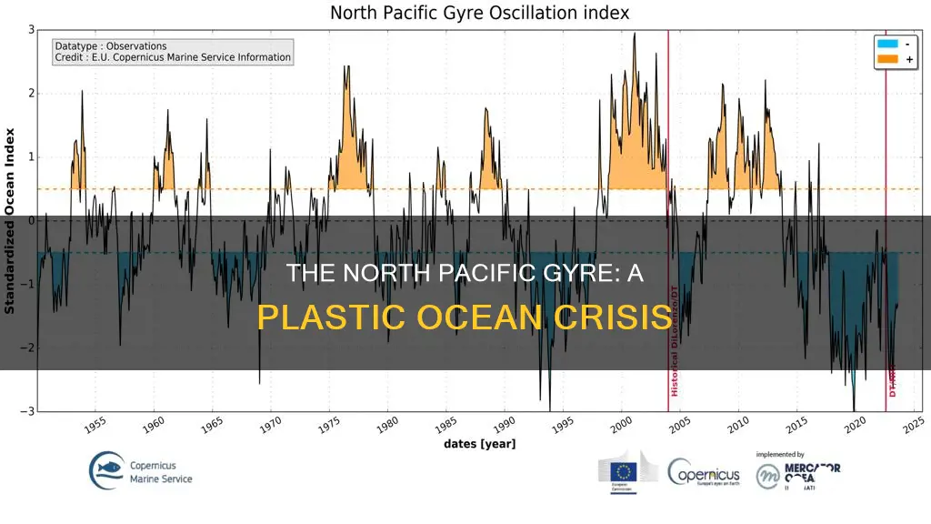 how big is north pacific gyre plastic