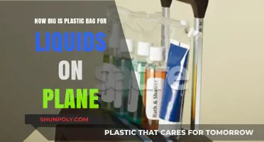 Air Travel: Plastic Bag Size for Liquids