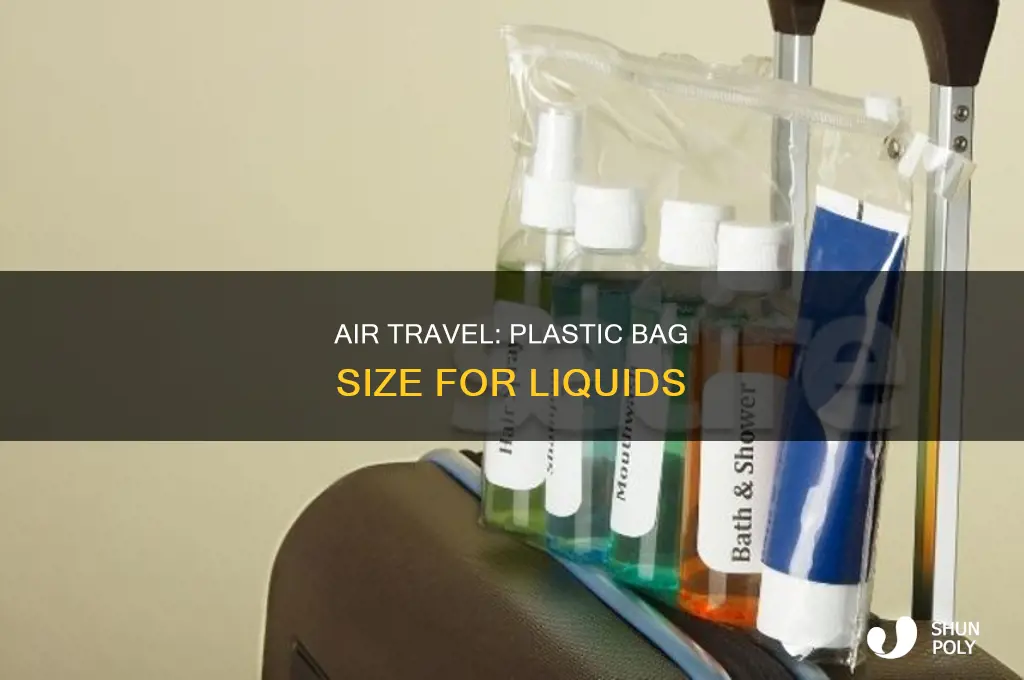 how big is plastic bag for liquids on plane