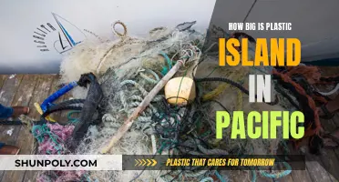 The Pacific's Plastic Island: A Massive, Growing Problem