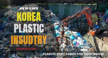 Plastic Surgery in South Korea: A Billion-Dollar Industry