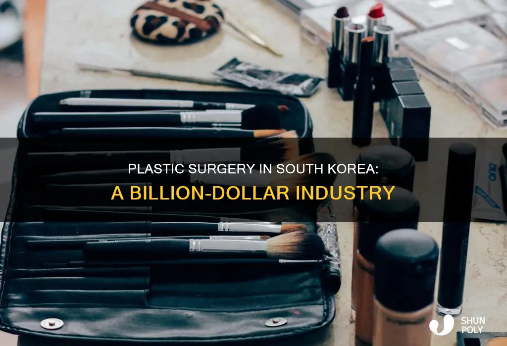 how big is south korea plastic insudtry