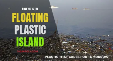 The Plastic Island's Shocking Size Revealed