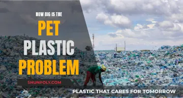 The Plastic Problem: Pet Pollution's Huge Impact