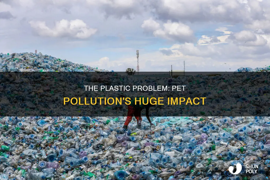 how big is the pet plastic problem