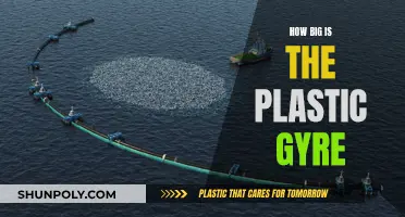 The Plastic Gyre's Massive Impact: Size Matters
