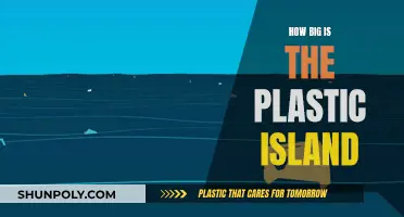 The Plastic Island: A Massive, Floating Environmental Disaster