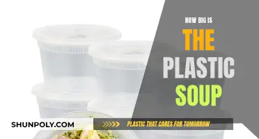 The Plastic Soup's Global Reach