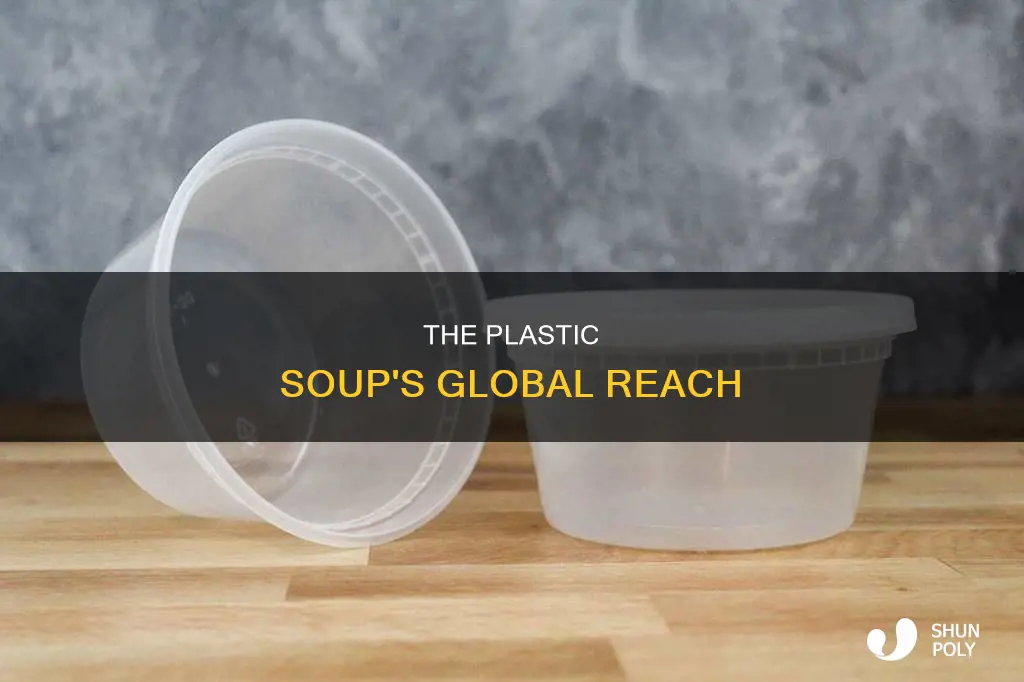 how big is the plastic soup