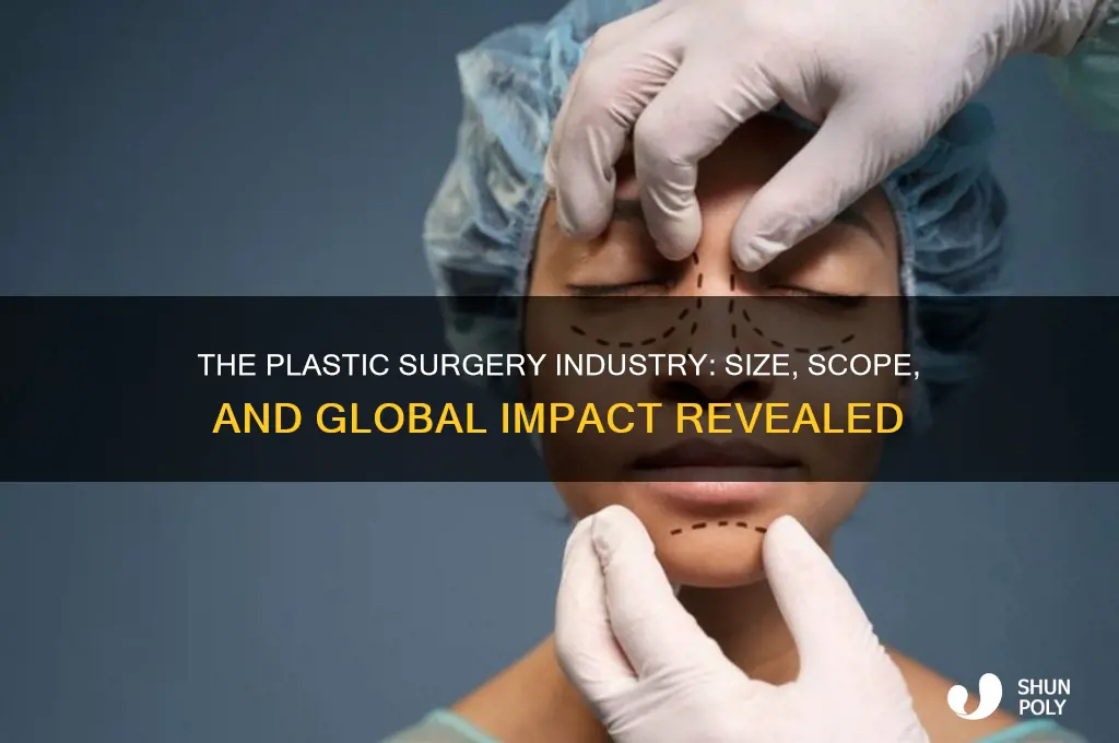 how big is the plastic surgery industry
