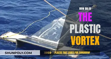 Plastic Vortex: A Giant Menace in Our Oceans