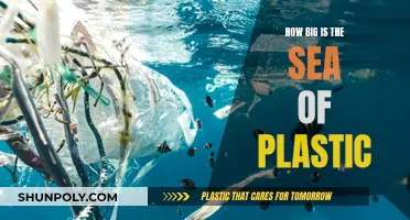 The Plastic Crisis: Our Oceans Are Drowning