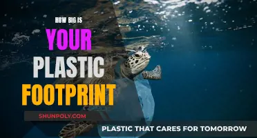 Plastic Footprint: How Much Plastic Do You Consume?
