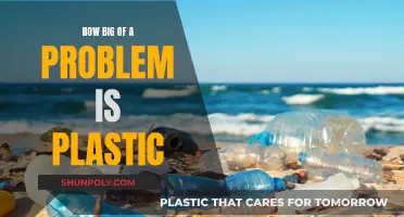 Plastic Pollution: A Global Crisis and Challenge