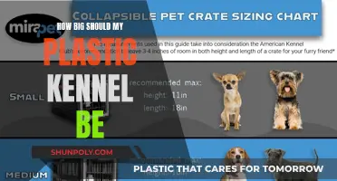 The Right-Sized Kennel for Your Pet's Comfort