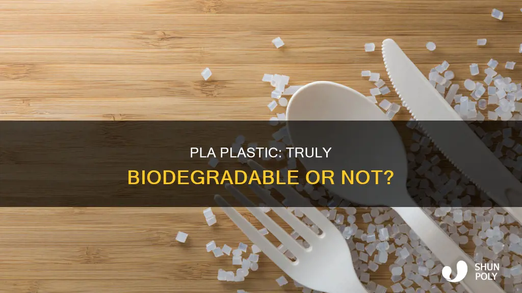 how biodegradable is is pla plastic