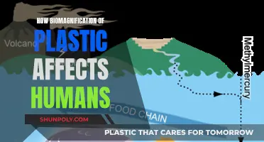 Plastic Pollution's Impact: Biomagnification's Human Health Threat