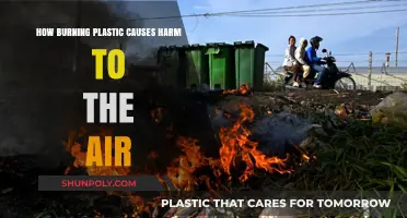 Toxic Skies: The Hidden Dangers of Burning Plastic Revealed