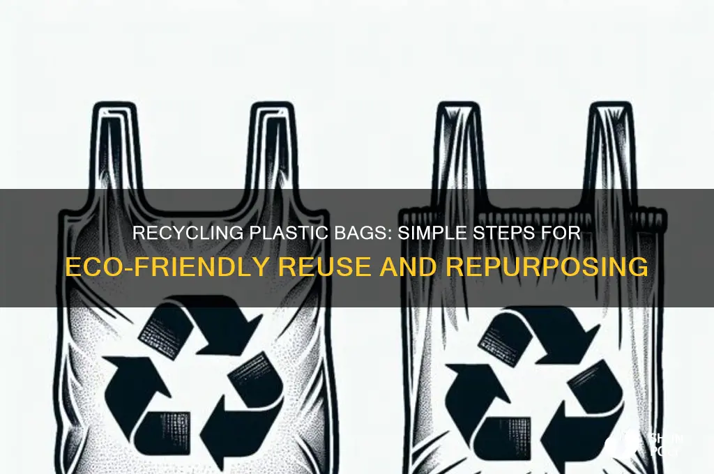 how can a plastic bag be recylced
