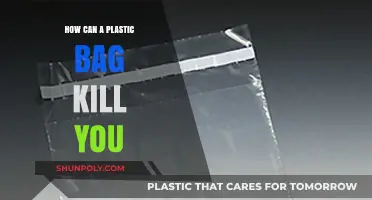 Deadly Plastic Peril: How a Simple Bag Can Turn Fatal