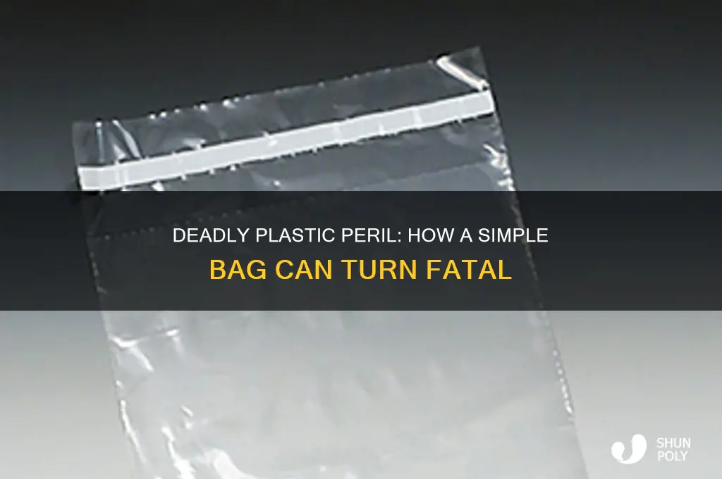 how can a plastic bag kill you