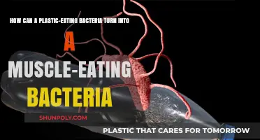 From Polymers to Proteins: The Evolution of a Plastic-Eating Bacteria into a Muscle-Eating Pathogen