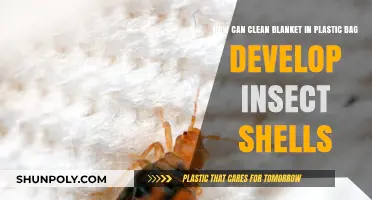 Preventing Insect Infestations: Cleaning Blankets Stored in Plastic Bags