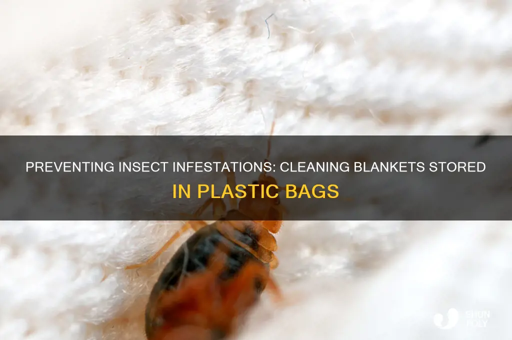 how can clean blanket in plastic bag develop insect shells