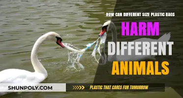Plastic Bag Sizes: Varied Threats to Wildlife and Ecosystems
