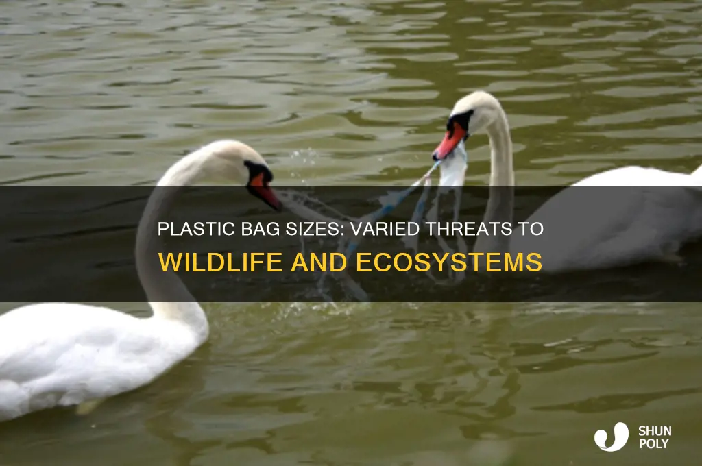 how can different size plastic bags harm different animals