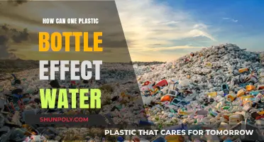 One Plastic Bottle's Ripple Effect: Contaminating Water, Harming Ecosystems