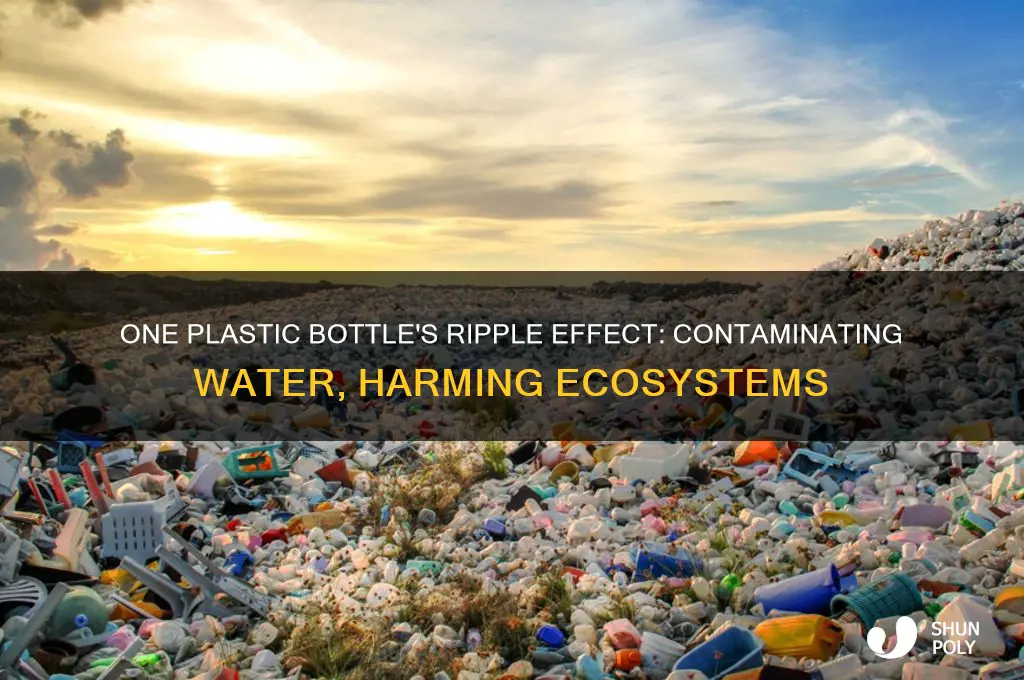 how can one plastic bottle effect water